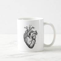 Anatomía-Corazón-Imagen-Vintage