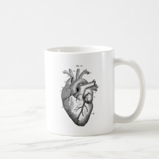 Taza De Café Anatomía-Corazón-Imagen-Vintage