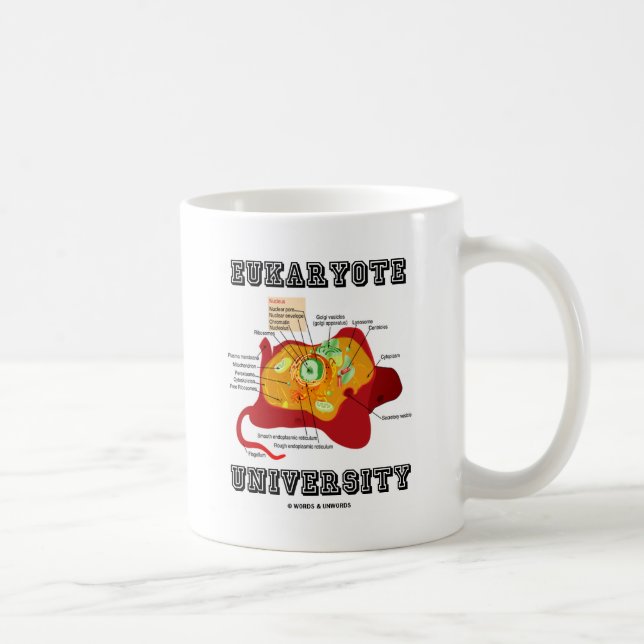 Taza De Café Anatomía de células animales de la Universidad Euk (Derecha)