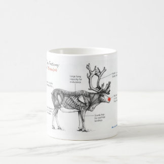 Taza De Café Anatomía de los ilustraciones ingeniosos de