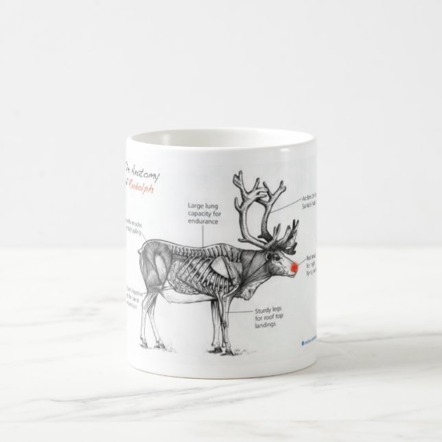 Taza De Café Anatomía de los ilustraciones ingeniosos de (Centro)