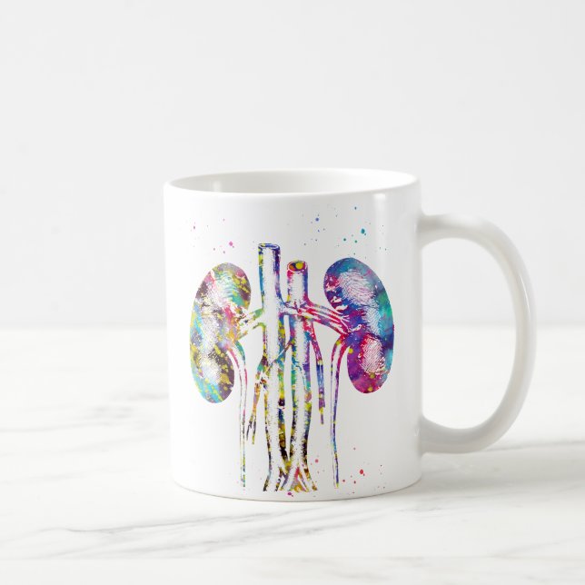 Taza De Café anatomía de los riñones (Derecha)