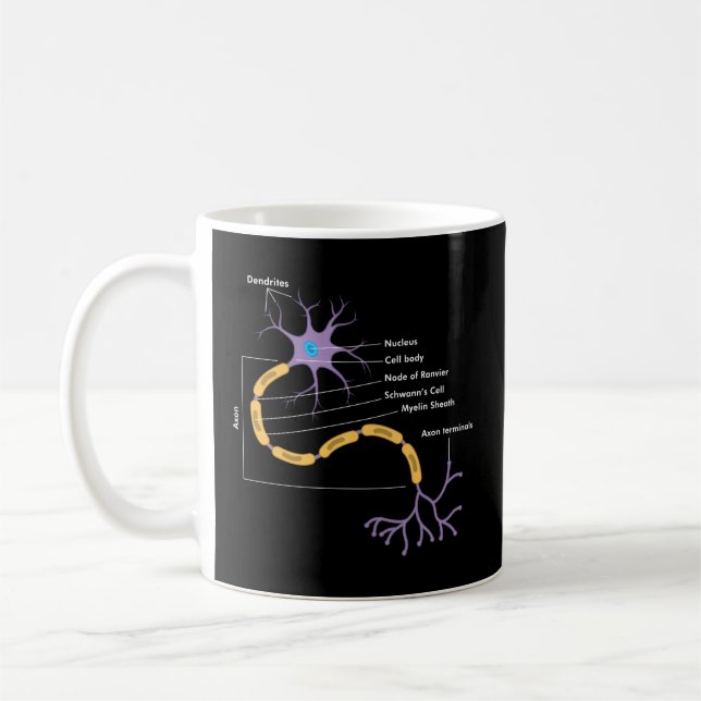 Taza De Café Anatomía De Neuronas Neurologísticas (Izquierda)