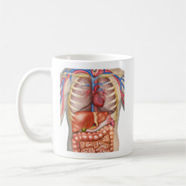 Taza De Café Anatomía de órganos internos Fuzzy Express®