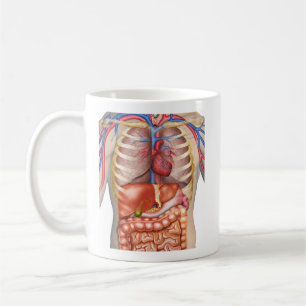 Taza De Café Anatomía de órganos internos Fuzzy Express®