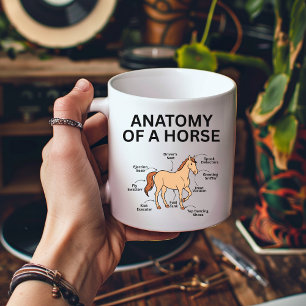 Taza De Café Anatomía de un Caballo, Regalos Divertidos de Caba
