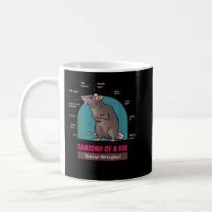 Taza De Café Anatomía De Una Rata Rattus Ratas Norvegiosas