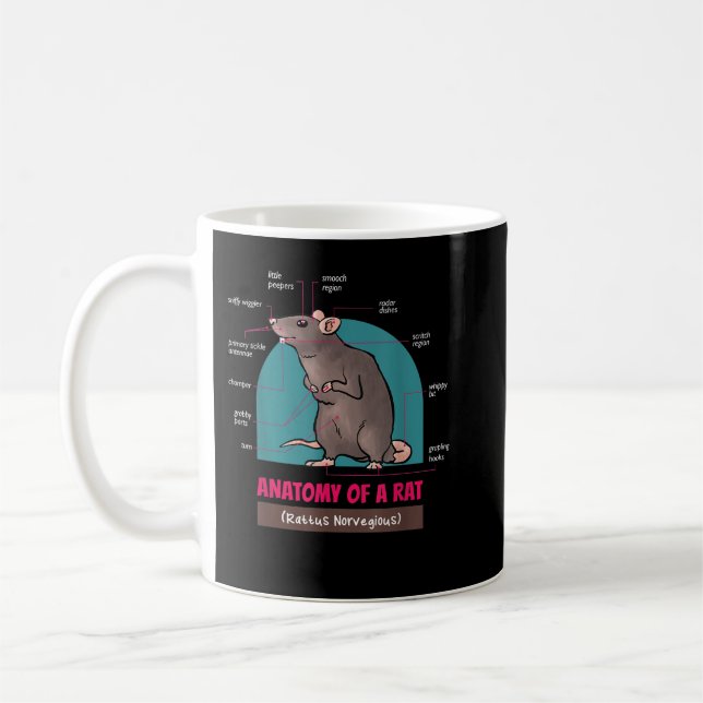 Taza De Café Anatomía De Una Rata Rattus Ratas Norvegiosas  (Izquierda)