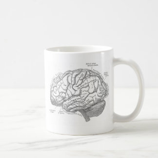 Taza De Café Anatomía del cerebro del vintage