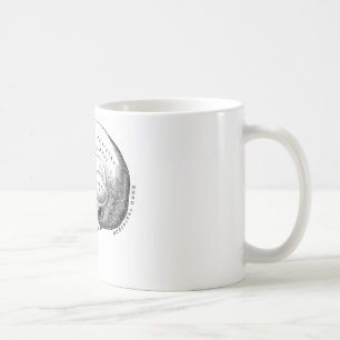Taza De Café Anatomía del cráneo