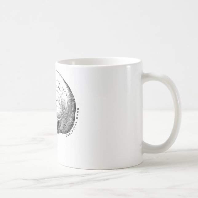 Taza De Café Anatomía del cráneo (Derecha)