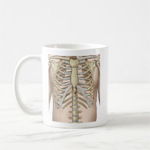 Taza De Café Anatomía del esqueleto masculino Fuzzy Express®