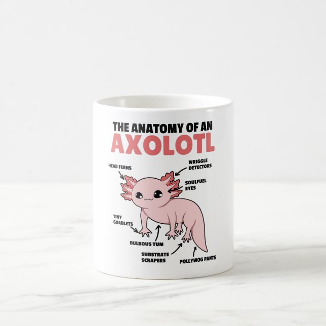 Taza De Café Anatomía Explicativa Axolotl De Un Axolotl (Centro)