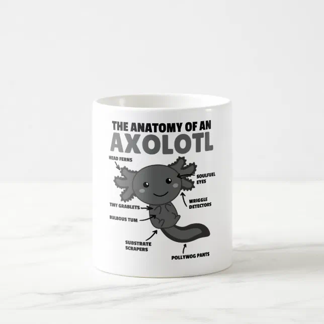 Taza De Café Anatomía Explicativa Axolotl De Un Axolotl | Zazzle.es