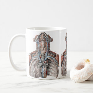 Taza De Café Anatomía humana antigua de garganta, cuello, pecho