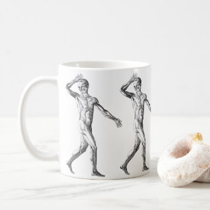Taza De Café Anatomía Humana Antigua, Músculos del Cuerpo Mascu