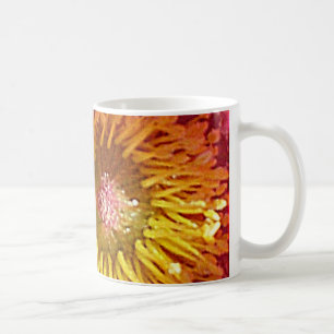 Taza De Café Anémona