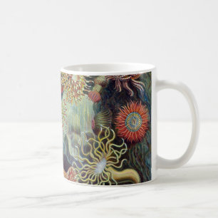 Taza De Café Anémona de mar de Ernst Haeckel Actiniaea