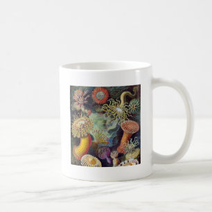 Taza De Café Anémona de mar naturaleza científica océano