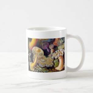 Taza De Café Anémona de mar naturaleza científica océano