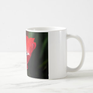 Taza De Café Anemone rojo.JPG