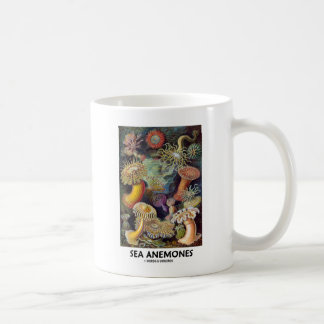 Taza De Café Anemones marinos