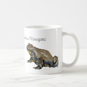Taza De Café Anfibios, Reptiles y Insectos Acuarela