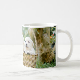 Taza De Café Animales Cachorros Mascotas Caninos