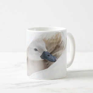 Taza De Café Animales de bebé más afectados Baby Mute Swan