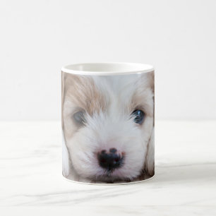 Taza De Café Animales de bebé más afectados   Cavashon Puppy