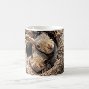 Taza De Café Animales de bebé más afectados   Dos ardillas jóve