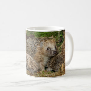 Taza De Café Animales de bebé más afectados   Familia Hedgehog