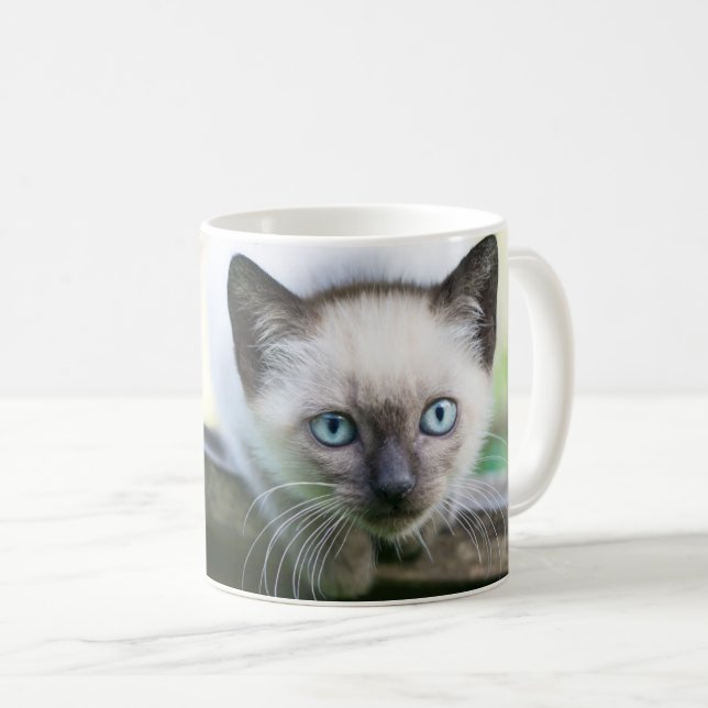 Taza De Café Animales de bebé más afectados | Gatito siamés 2 (Anverso derecho)