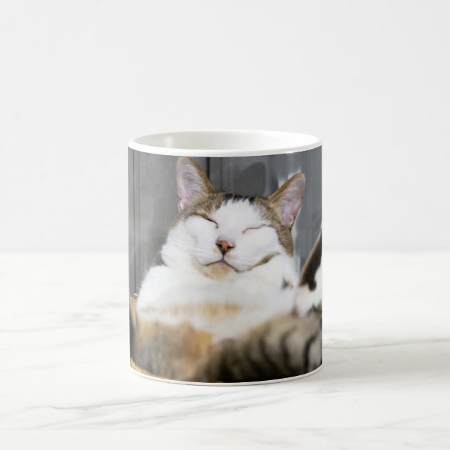Taza De Café Animales de bebé más afectados | Gato en la cama (Centro)