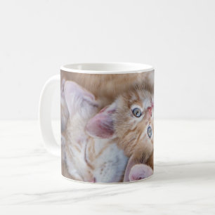 Taza De Café Animales de bebé más afectados   Naranja Kitten Pi