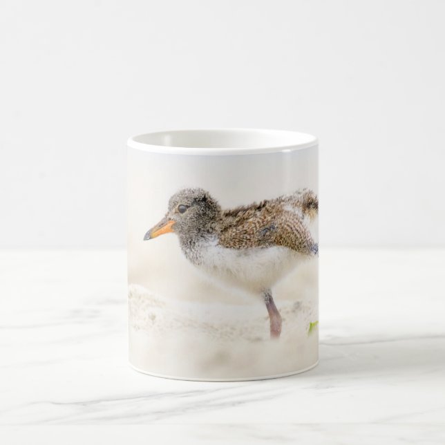 Taza De Café Animales de bebé más afectados | Oystercatcher Chi (Centro)