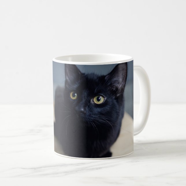 Taza De Café Animales de bebé más afectados | Retrato de un gat (Anverso derecho)
