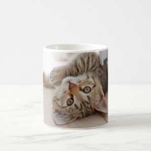 Taza De Café Animales de bebé más afectados Shorthair Tabby K