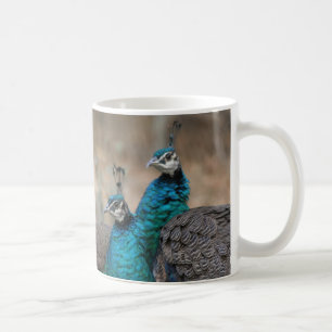 Taza De Café Animales de la fauna de las plumas de pájaro del