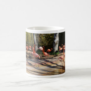 Taza De Café Animales flamencos