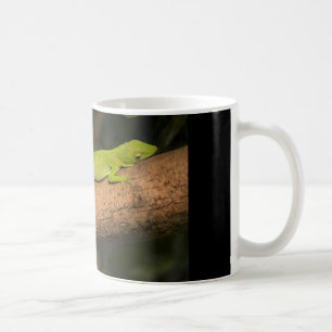 Taza De Café Anole gigante jamaicano