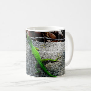 Taza De Café Anole Lizard 6704