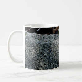 Taza De Café Anole Lizard 6704
