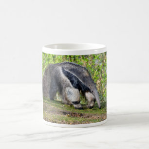 Taza De Café Anteater gigante caminando sobre hierba