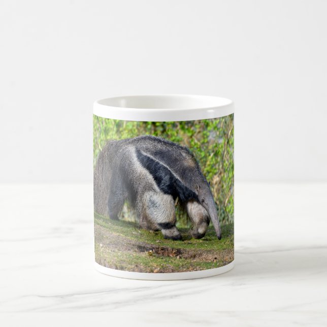 Taza De Café Anteater gigante caminando sobre hierba (Centro)