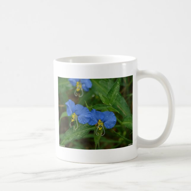 Taza De Café Aparatos y regalos asiáticos de Dayflower Blue WIl (Derecha)
