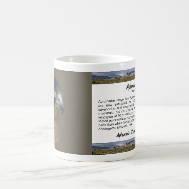 Taza De Café Aplomado (Centro)