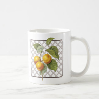 TAZA DE CAFÉ APRICOTS