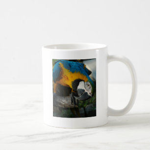 Taza De Café aquí le está mirando