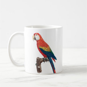 Taza De Café Ara Canga Parrot